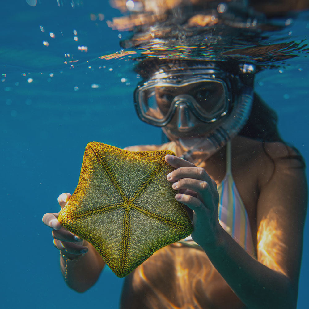 G2rise Full Face Snorkel Mask in use while exploring underwater wildlife