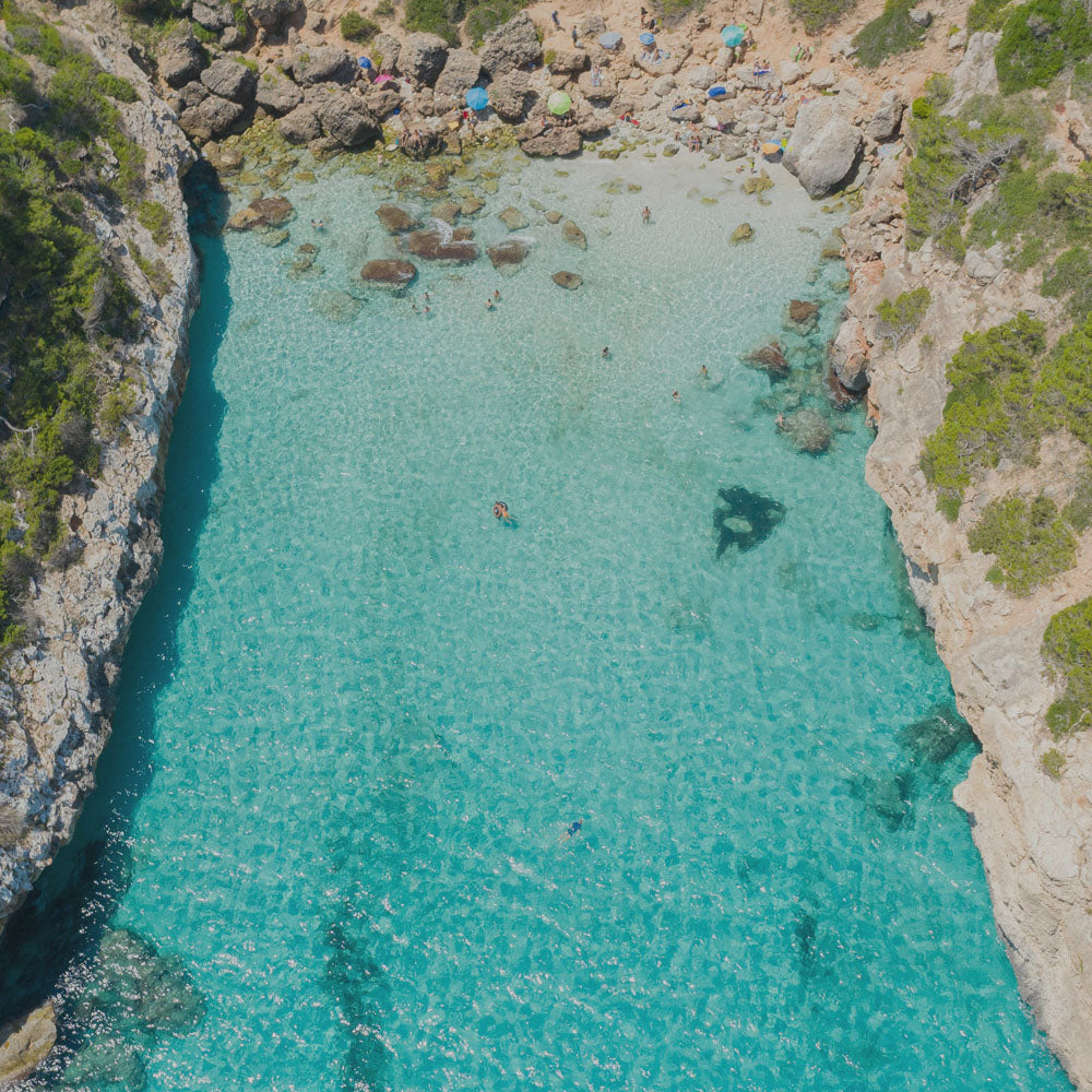 G2rise Compact Travel Snorkel Set with Carry Bag for Easy Portability