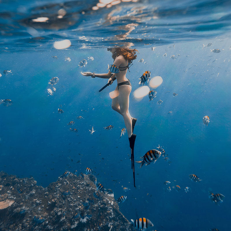 Best Snorkeling in Florida Keys: The Middle Keys Secret Most Visitors Miss
