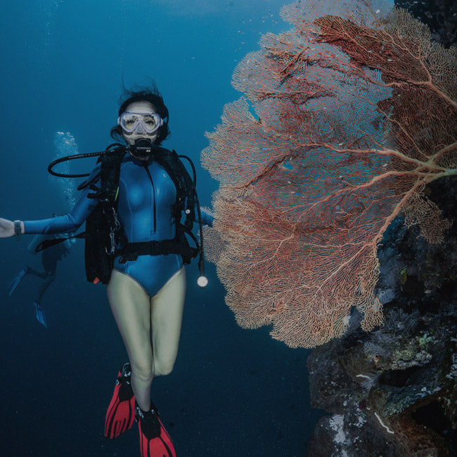 Snorkel Sets: How to Choose the Right Kit