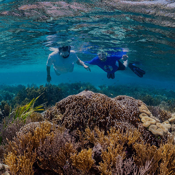Snorkeling Gear for Beginners: What You Actually Need