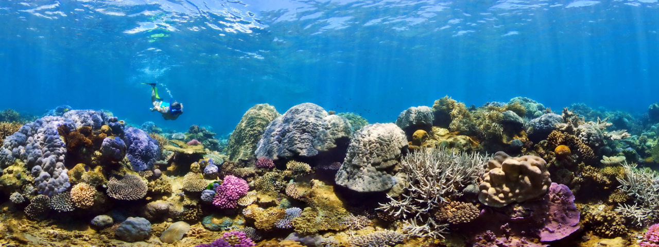 full face snorkel mask diving